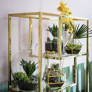 array of terrariums and ornaments with shade of gold as the shelving unit and highlight the earthy greens of the plants