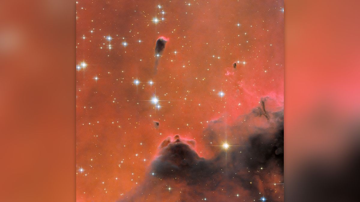 Photo spatiale de cette semaine : Hubble aperçoit un « têtard cosmique » dans une mer rouge