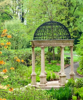 Botanical garden with lots of green plants and colorful flowers