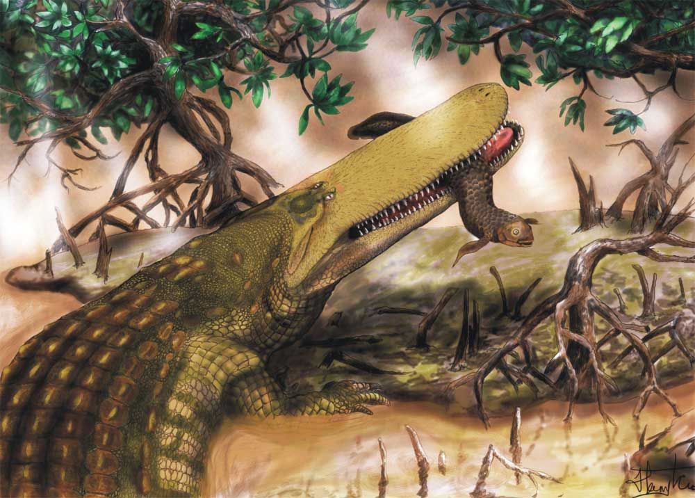 illustration shows an ancient crocodile species that lived during the Cretaceous