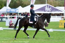 Blair ERM dressage