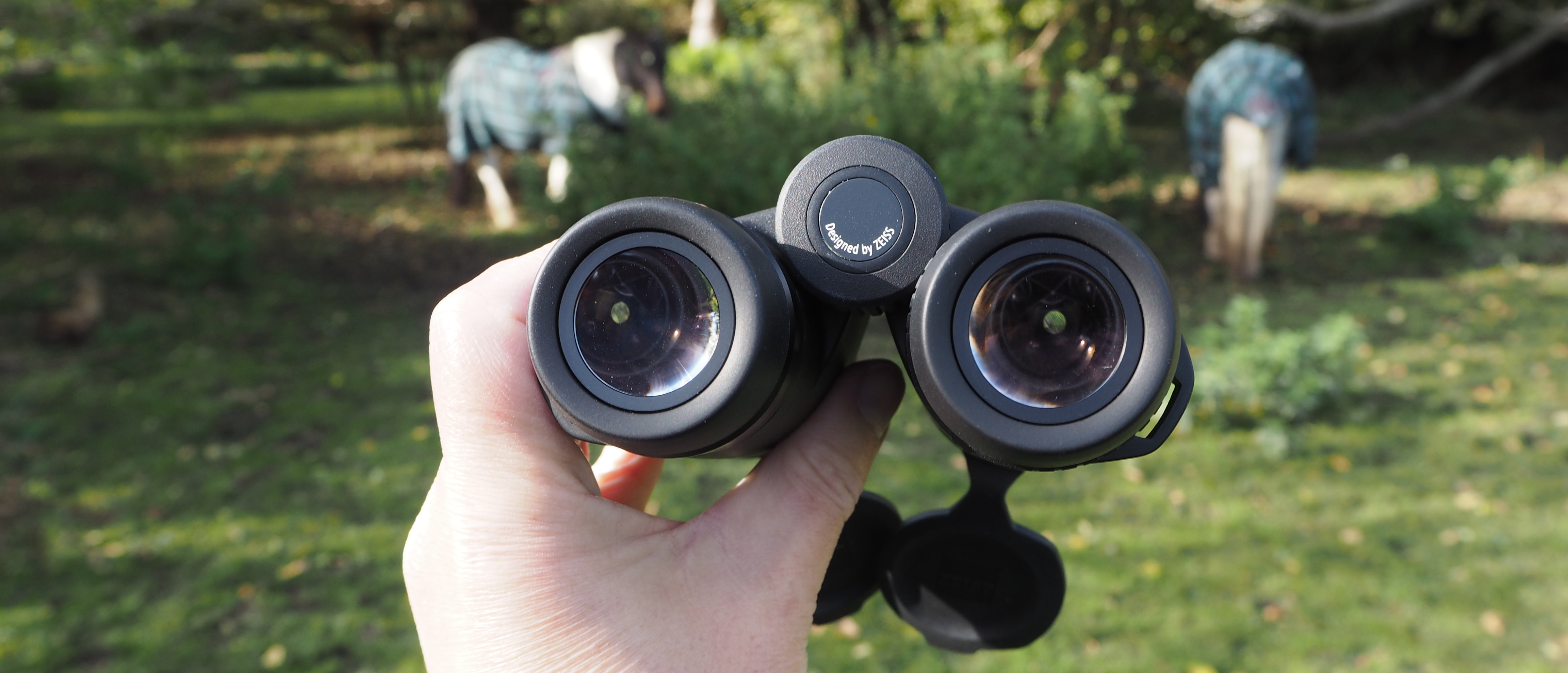 Zeiss Conquest HDX 10x32 binoculars handheld with horse in background