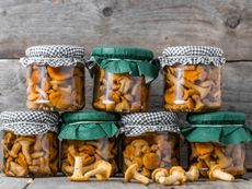 Home Canning Of Mushrooms In Glass Jars