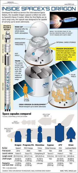 How Spacex S Dragon Space Capsule Works Infographic Space