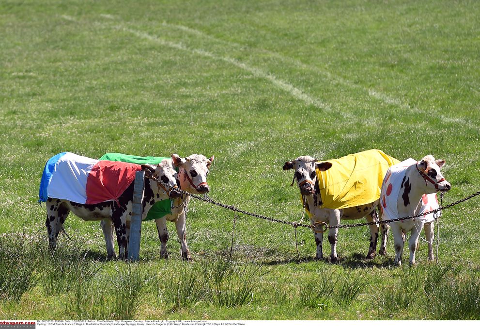 Viewing figures are up at this year's Tour de France