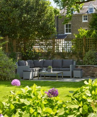 Garden wall ideas with a trellis on top of a low brick wall in a town garden with L-shaped corner wicker garden sofa, a sunny lawn and purple aliums.