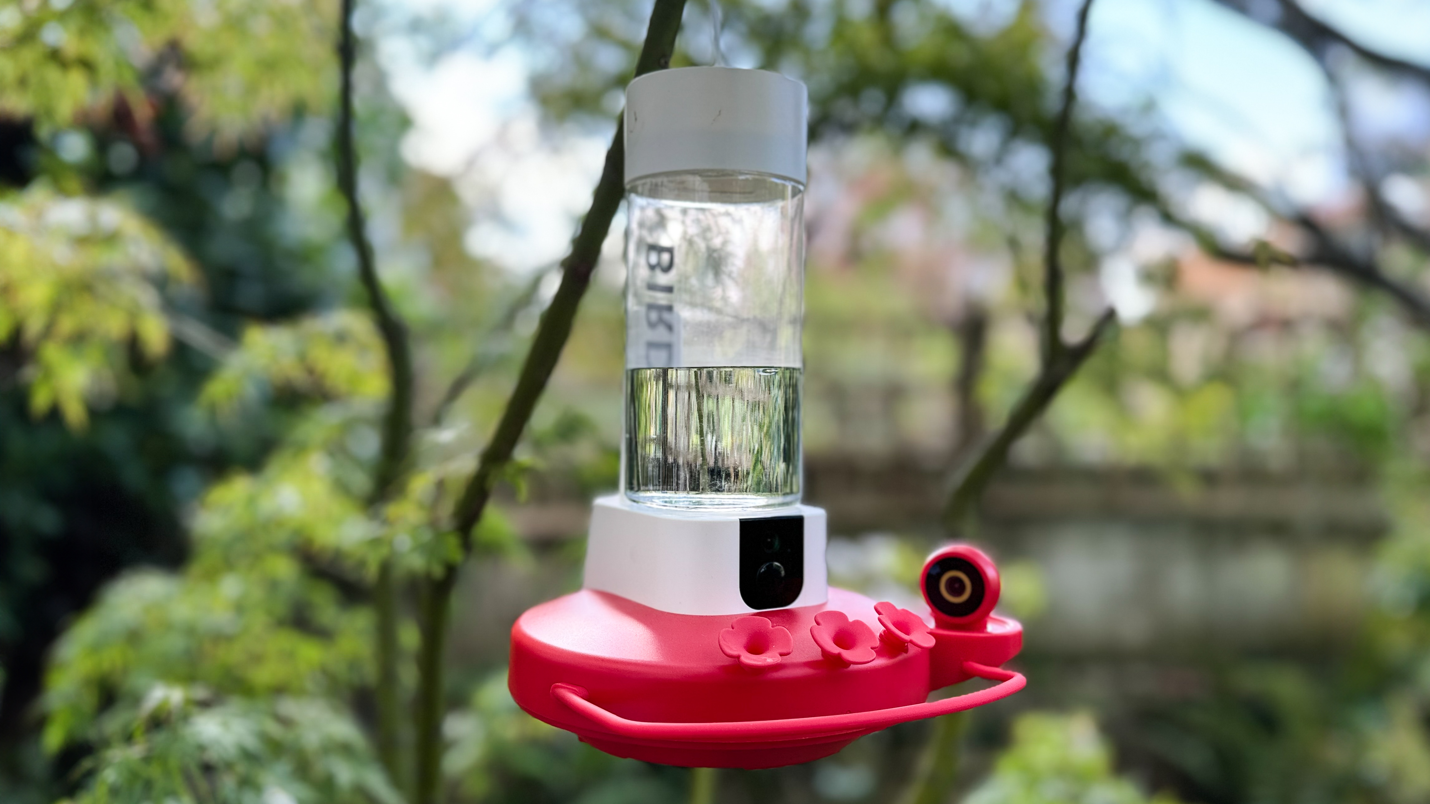 Birdfy Hum Feeder