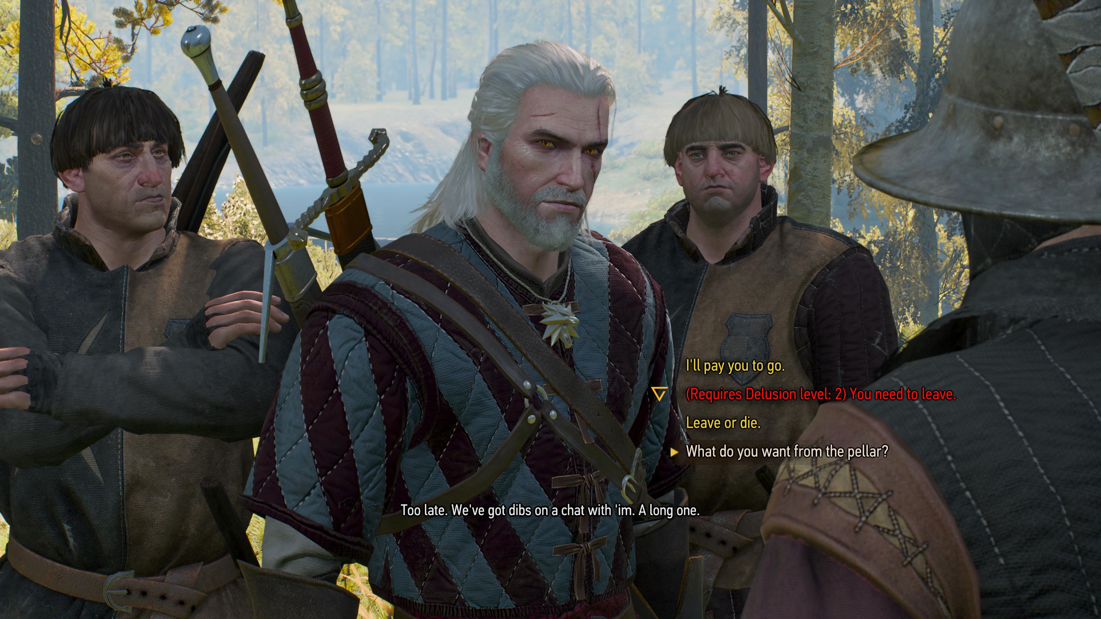 The witcher 3 the pellar