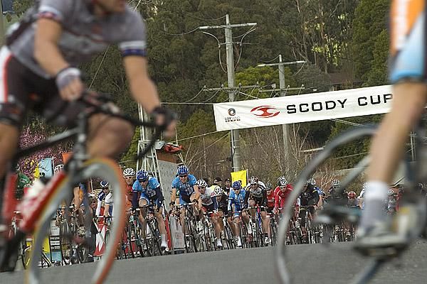 The field head up the home straight in Trafalgar during the stage three criterium in the Tour of Gippsland.