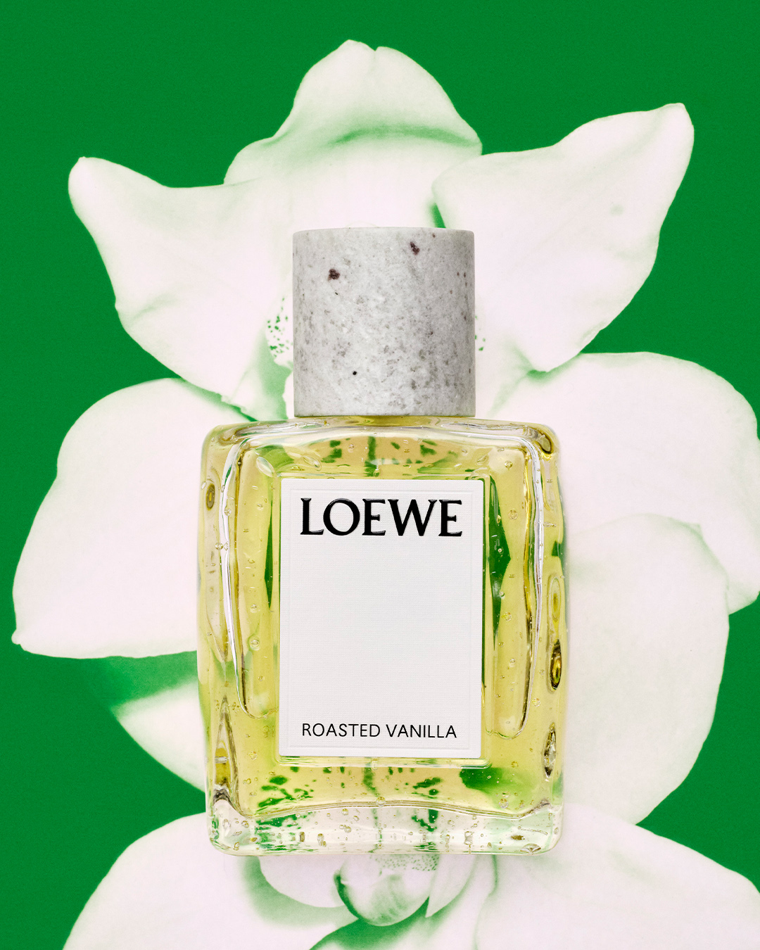 loewe fragrance bottle against a floral background