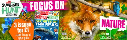 Scavenger Hunt campaign promo for Science+Nature