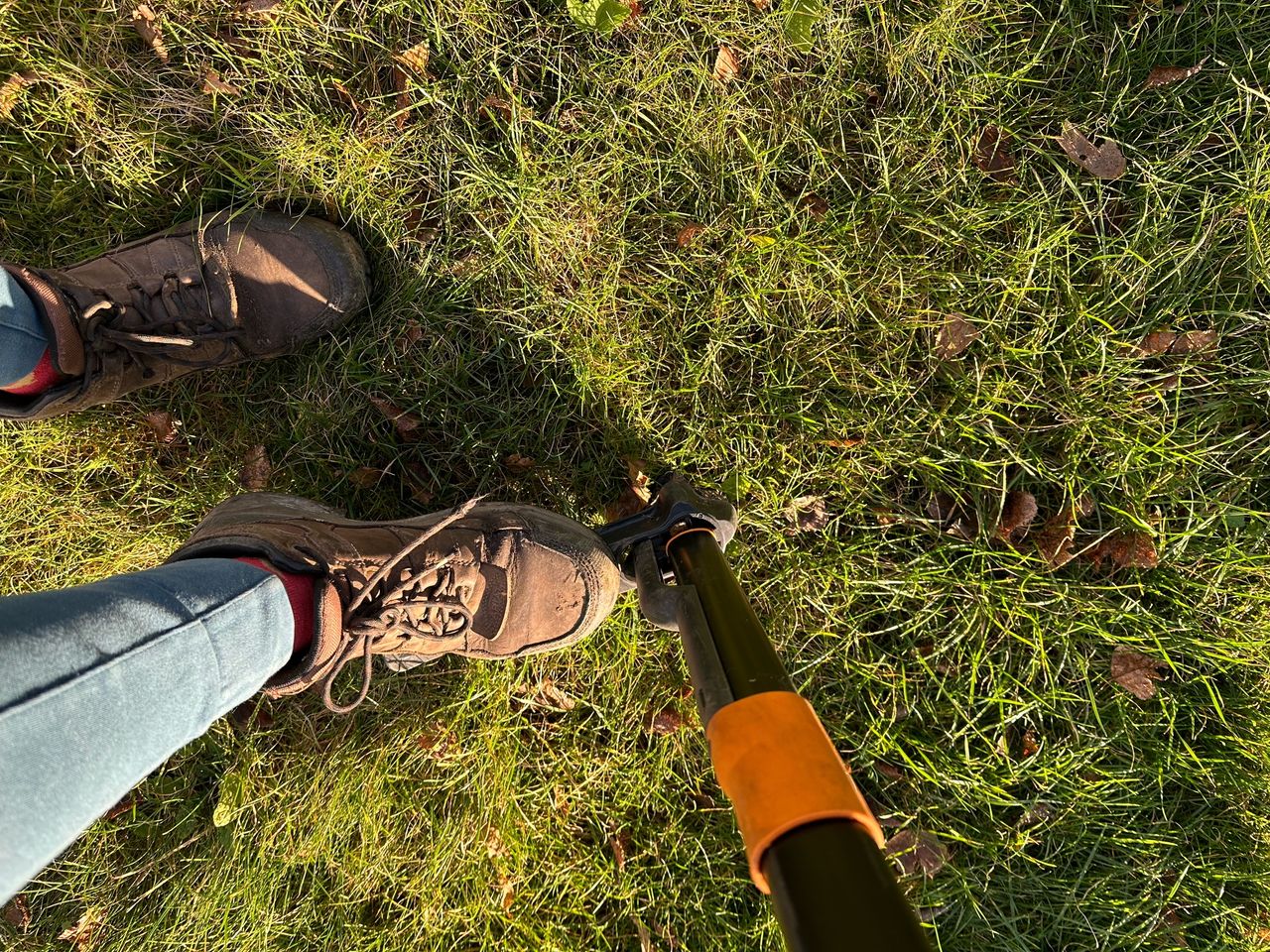 The Fiskars weed pulling tool in use