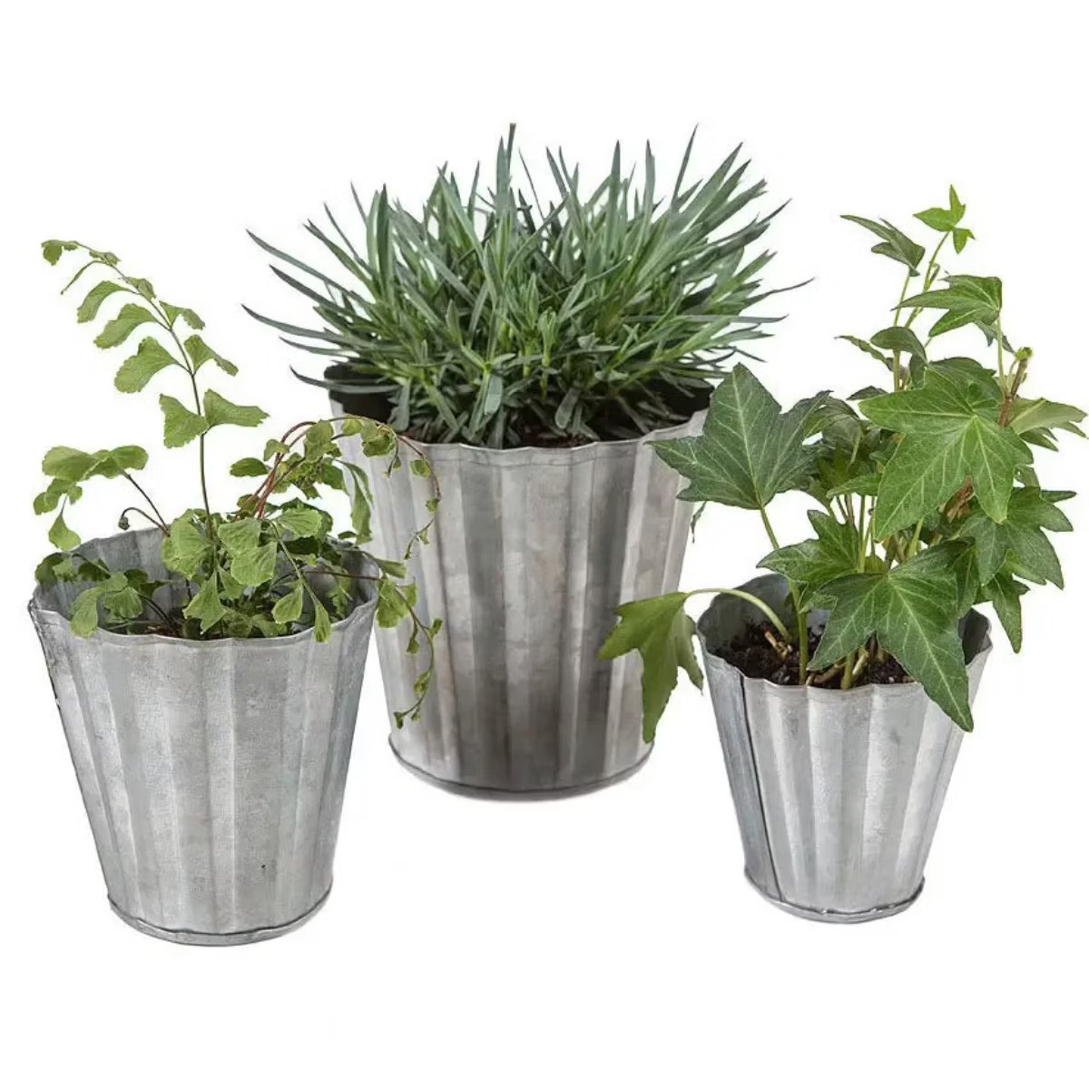 Mini Tin Planters Set, 3 Pieces