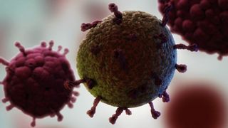 illustration of three coronavirus particles