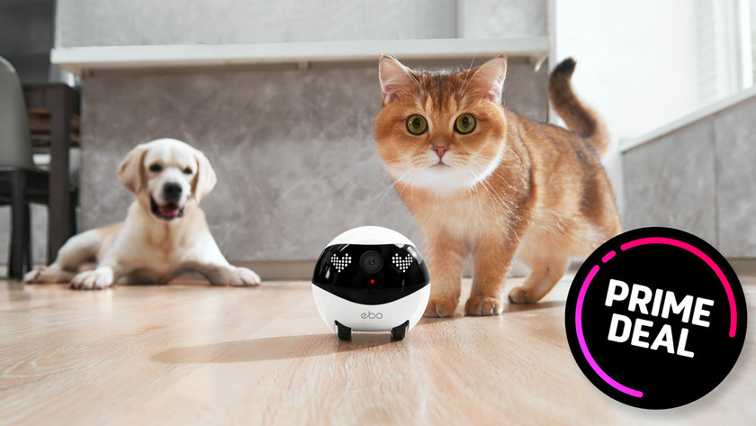 An Enabot Ebo Air 2 with a cat and a dog in a home environment and &#039;prime deal&#039; sticker