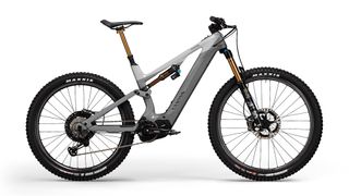 Canyon electric bike range 2020