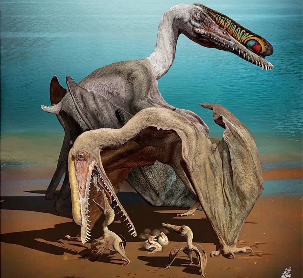 Large pterosaurs were better parents than their smaller, earlier  counterparts, study finds