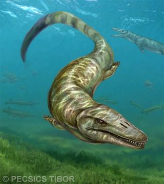 illustration of a mosasaur