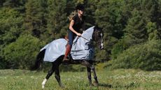 Bucas Buzz-Off Riding Fly Sheet