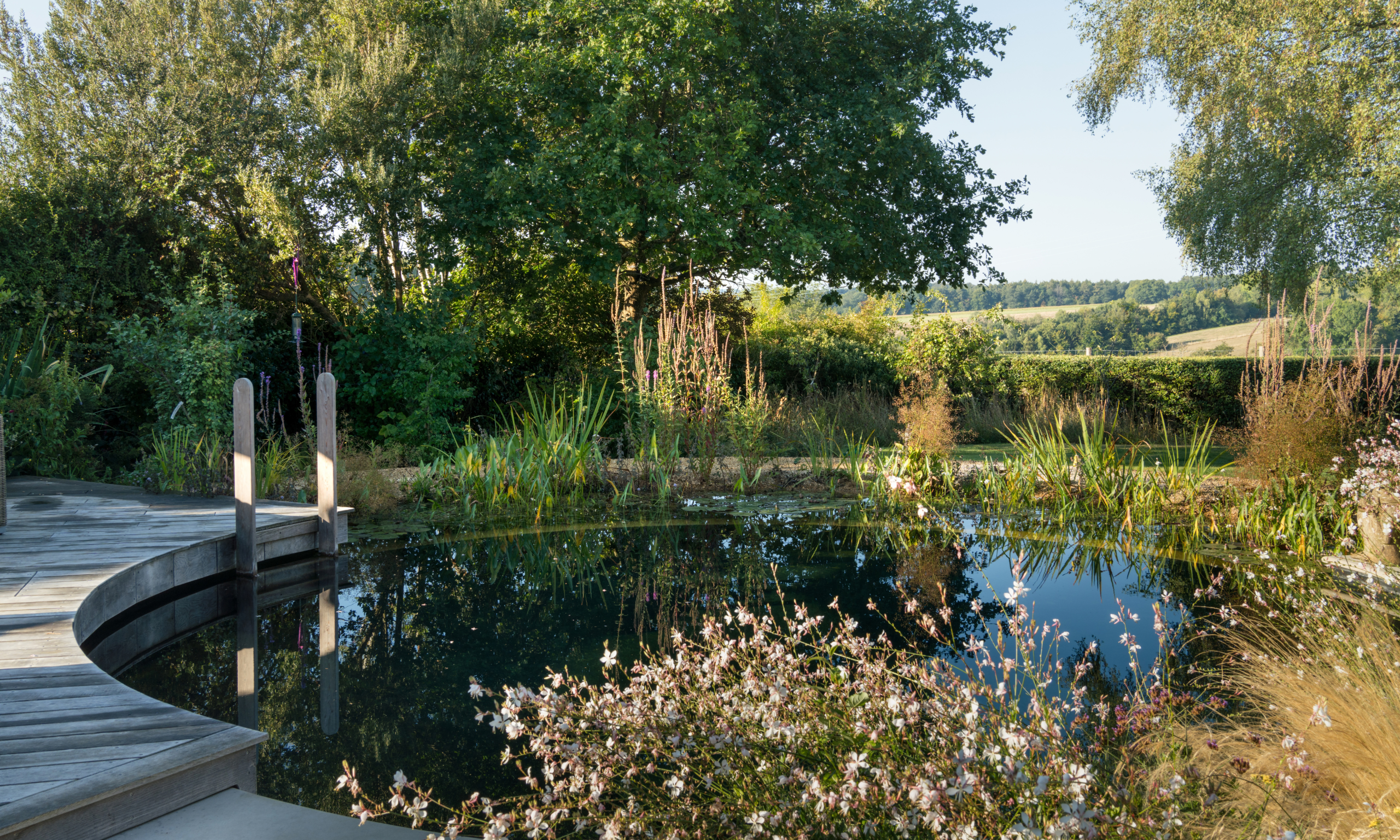 A natural, round garden swimming pond surrounded by wooden deck and soft planting