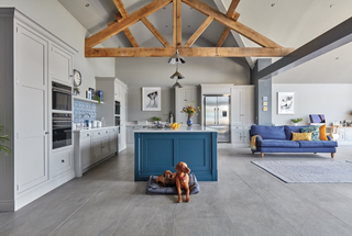 Open plan blue and gray modern kitchen with wall art and exposed beams