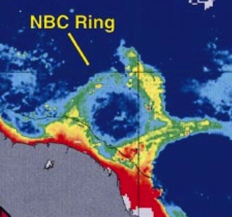 A North Brazil Current (NBC) ring.