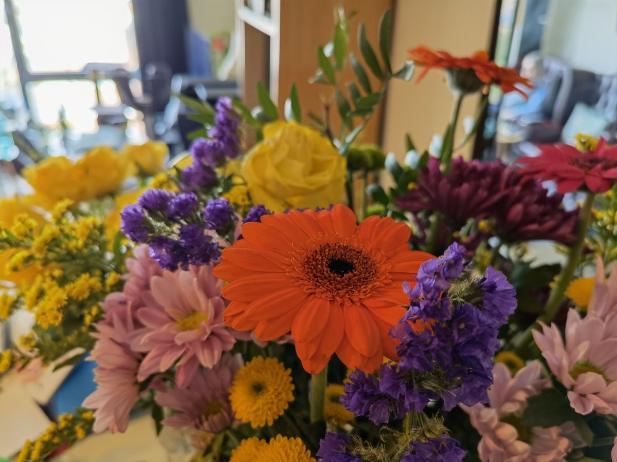 Huawei Mate X2 camera sample