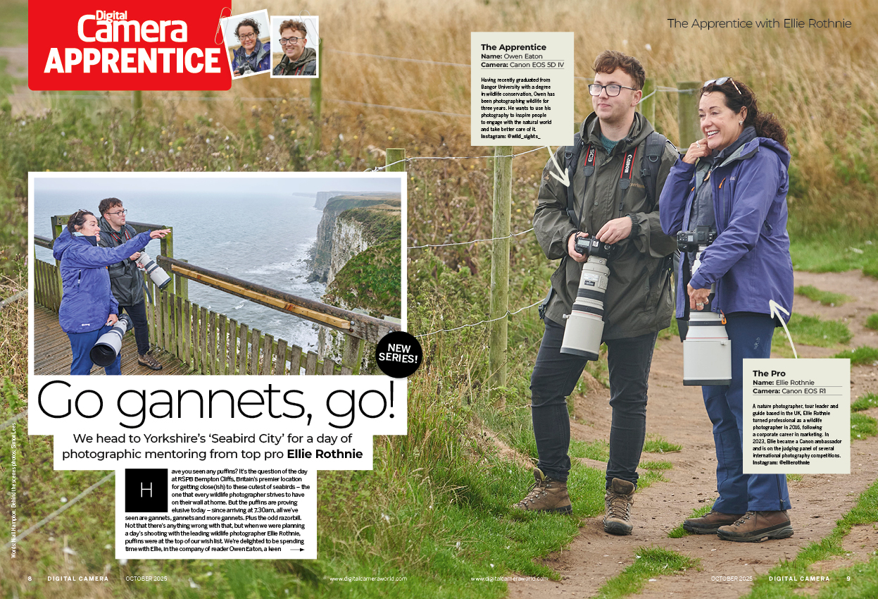 Image showing the first two pages of the Apprentice article in issue 299 (October 2025) of Digital Camera magazine, a masterclass in photographing seabirds, at the RSPB Bempton Cliffs nature reserve