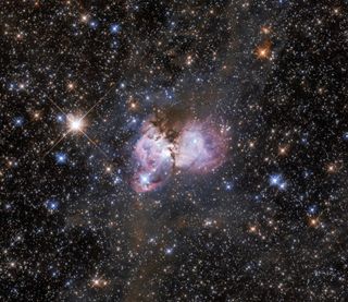 A new Hubble Space Telescope image features a stellar nursery on the outskirts of the Tarantula Nebula. Known as LHA 120-N 150, this bright pink space cloud is located more than 160,000 light-years away from Earth in the Large Magellanic Cloud, a dwarf galaxy that orbits the Milky Way. This colorful nebula is rich with new star formation, and it has an "exceptionally high concentration of massive stars, Hubble scientists said in a statement. By studying LHA 120-N 150, astronomers hope to learn more about the kind of environment in which massive stars form.