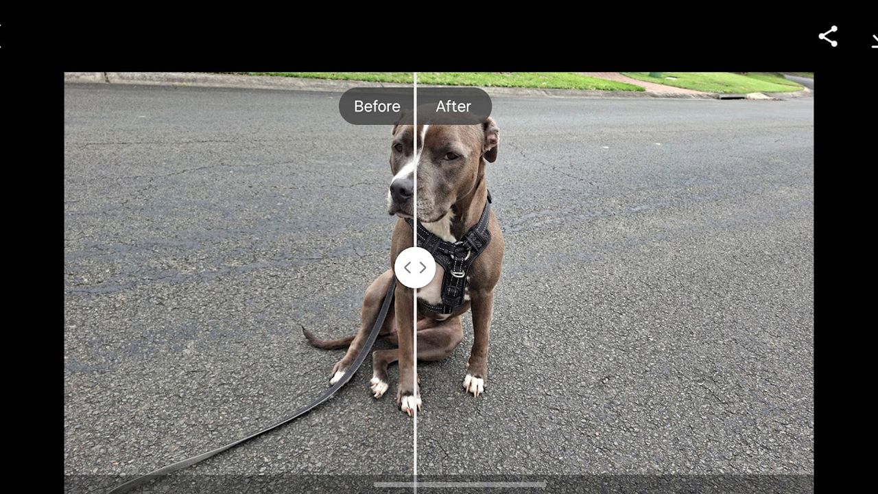 AI image remastering on the Galaxy A56