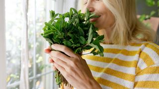 woman in yellow striped top smelling mint leaves