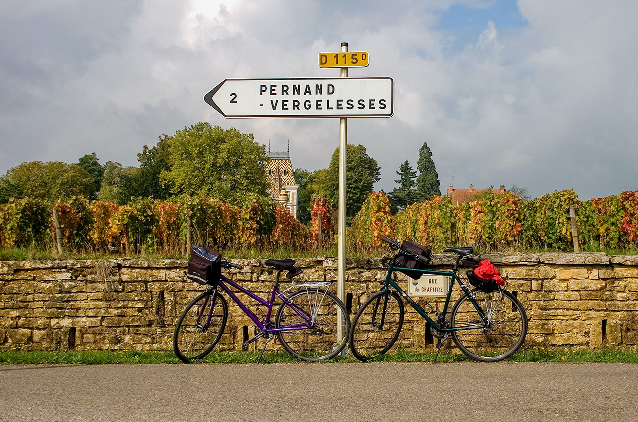 Cycling through Burgundy vineyards