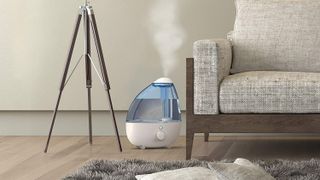 best humidifier