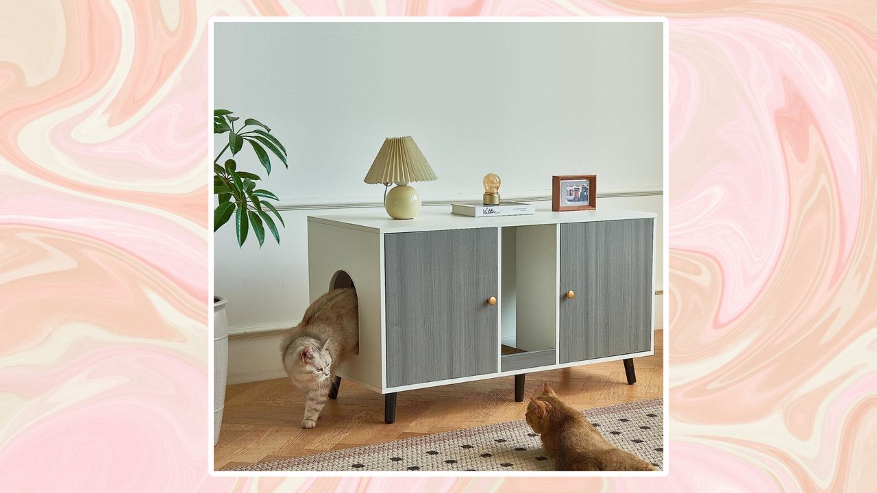 A pink and peach swirled background with a picture of two cats in a living room with a litter box cabinet in.