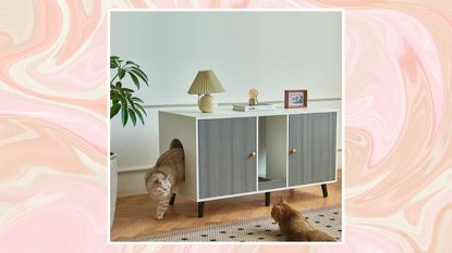 A pink and peach swirled background with a picture of two cats in a living room with a litter box cabinet in.