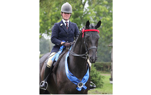 BSPS supreme ridden anglo and part-bred Arab champions Jill Wormall &amp;amp; Jazz It Up IMG_2397