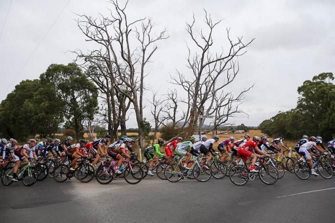 The Australian Championship peloton around the far side of the long section