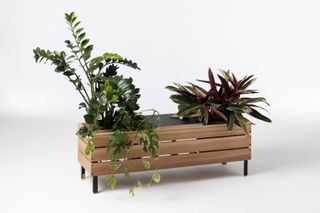 Large planter with plants