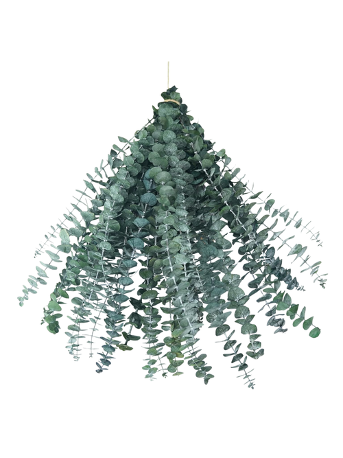 Preserved Eucalyptus Shower Stems 