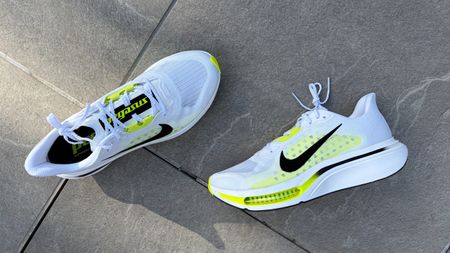 Nike Pegasus Plus 2