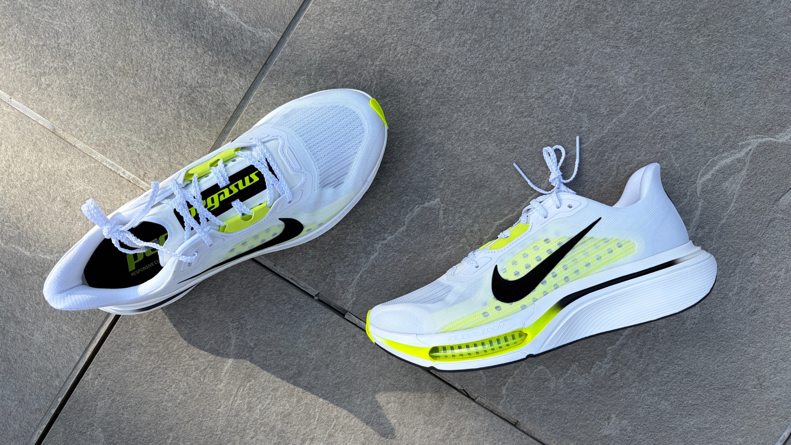 The Pegasus Plus 2 brings the bounce for daily training runs