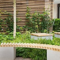 Wooden fence with wooden bench and greenery
