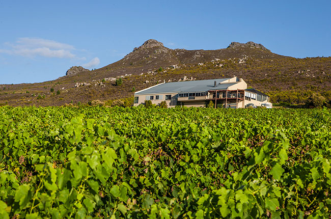 hemel-en-aarde wineries, Newton Johnson
