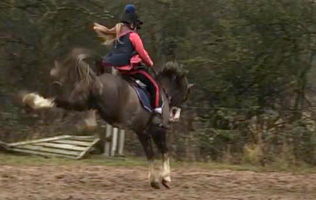 Claire Pickering — “This is my 12-year-old daughter and her Welsh section C cross”