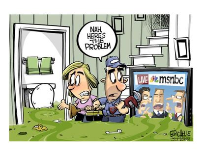 Editorial cartoon MSNBC