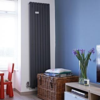 Blue-painted living room with a large radiator