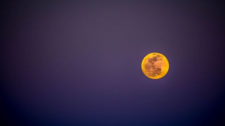 How to photograph a lunar eclipse: A Super Wolf Blood Moon in Wildwood, Florida