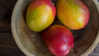 Three mangos in a bowl