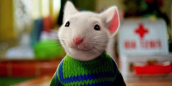 Stuart Little Is Getting A Remake | Cinemablend