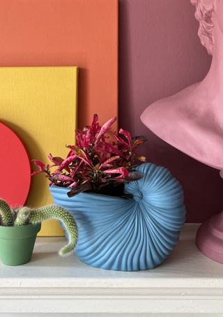 A blue shell planter beside a small green cacti pot